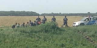 Nyolc határsértőt tartóztattak fel a hétvégén