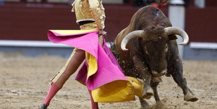 A bikaviadalok ellen tüntettek Madridban