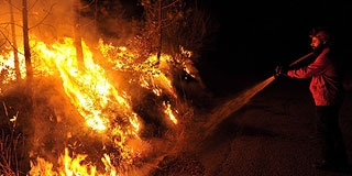 A hőség miatt magas az erdőtüzek kockázata