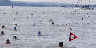 Több mint nyolcezren úszták át a Balatont Több mint nyolcezren úszták át a Balatont