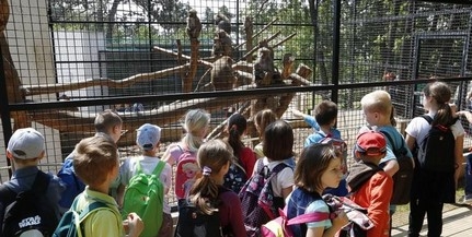 Hétfőn a sérült gyermekeké lesz a fővárosi állatkert