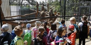 Hétfőn a sérült gyermekeké lesz a fővárosi állatkert