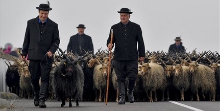 Behajtási ünnepet tartottak a Hortobágyon