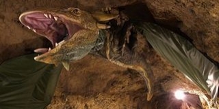 Kicsiket és nagyokat is várnak a tettyei Sárkánybarlangba