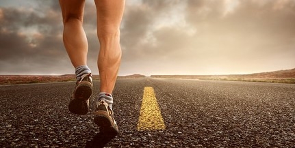 Háromezer kilométert futott egy magyar ultramaratonista
